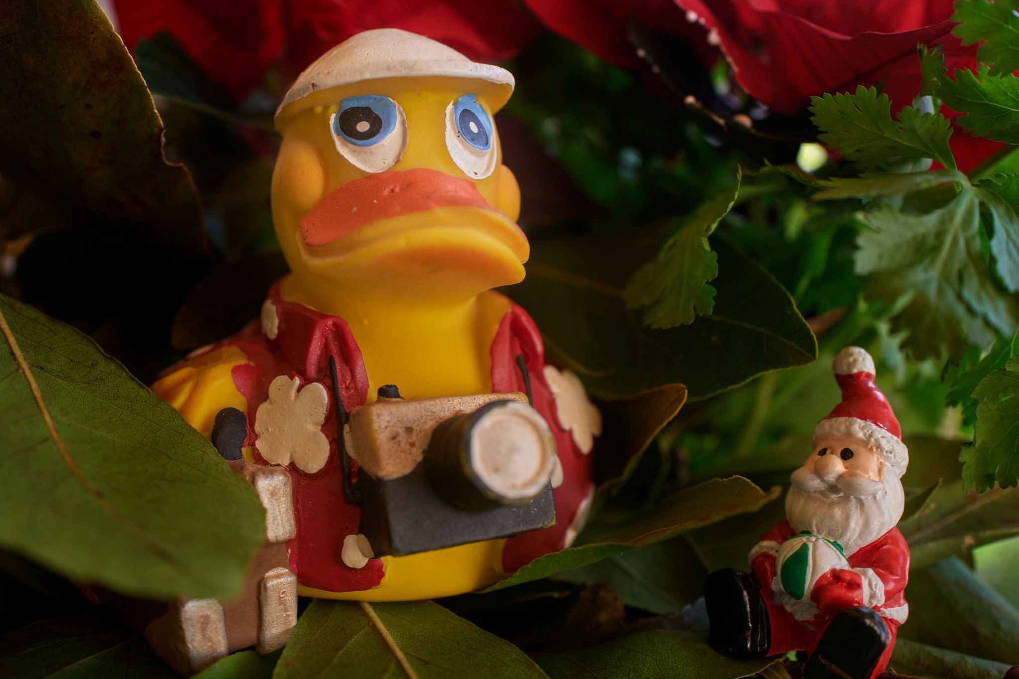 M20231224P_Oskar1260223