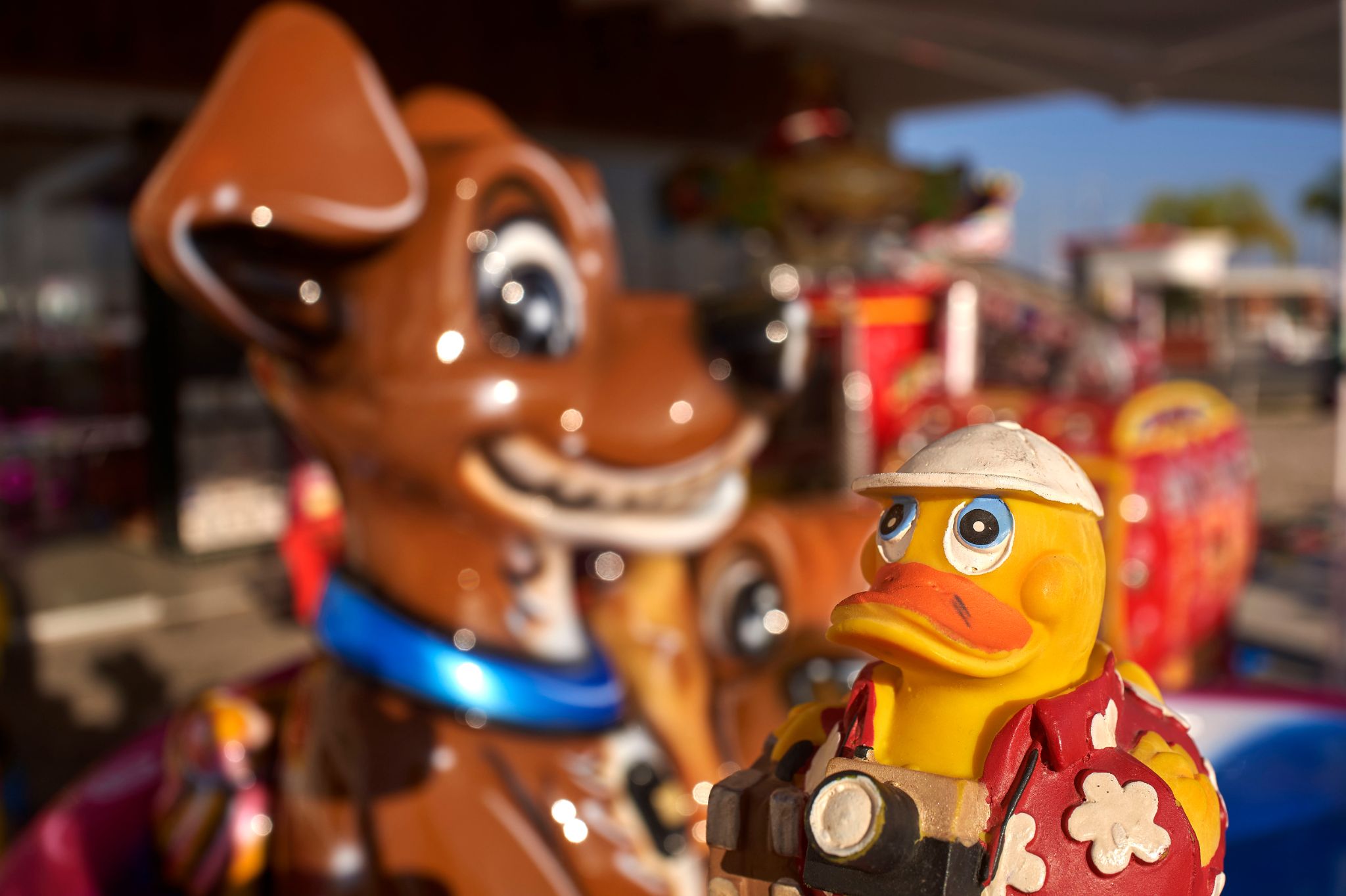 M20231224P_Oskar1260345