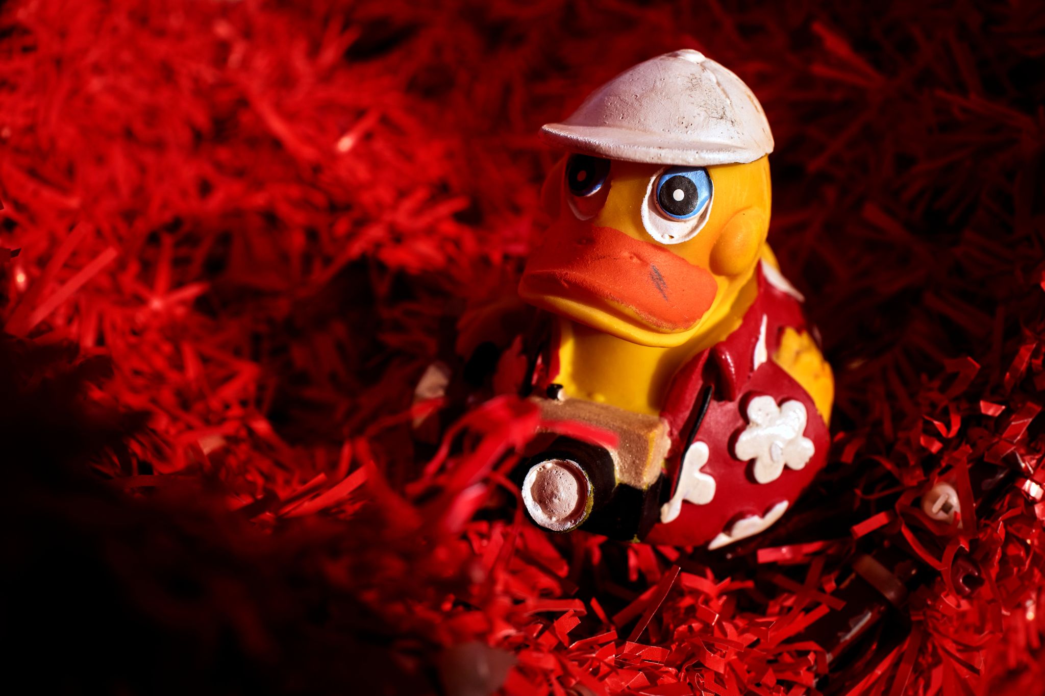 M20231227P_Oskar1260594