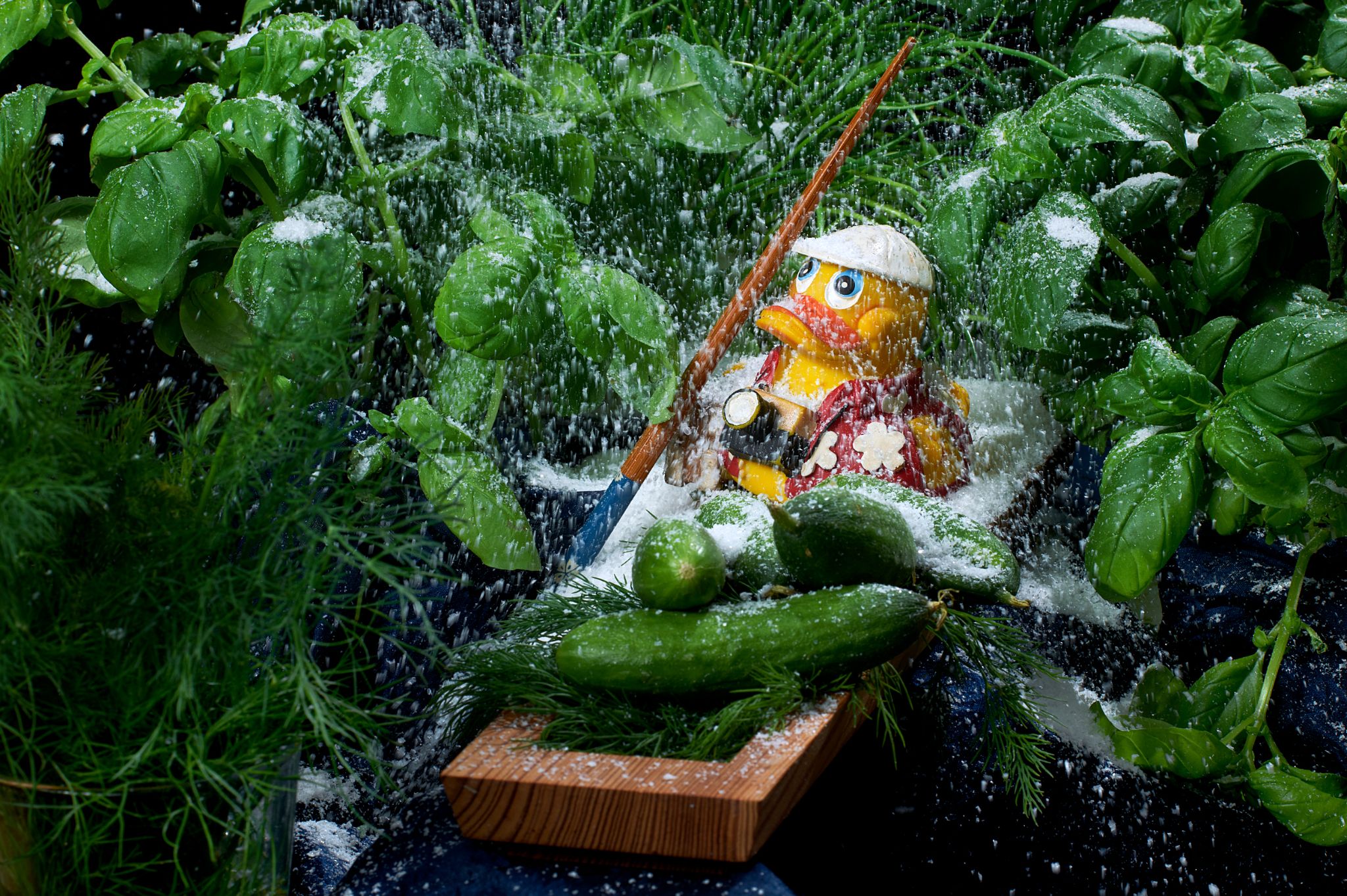 M20251206D_Oskar_Schnee1020342